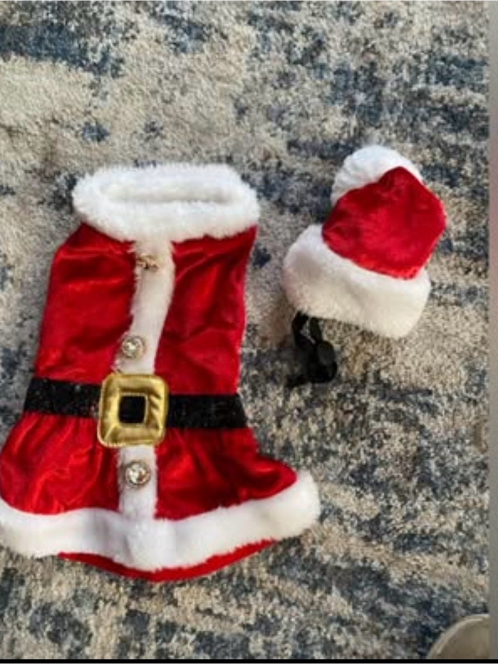Mary and Bright, Mrs. Claus dog outfit with matching hat